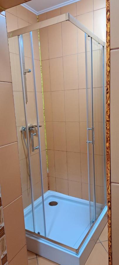 Pensiunea Grecu Lugoj Esterno foto